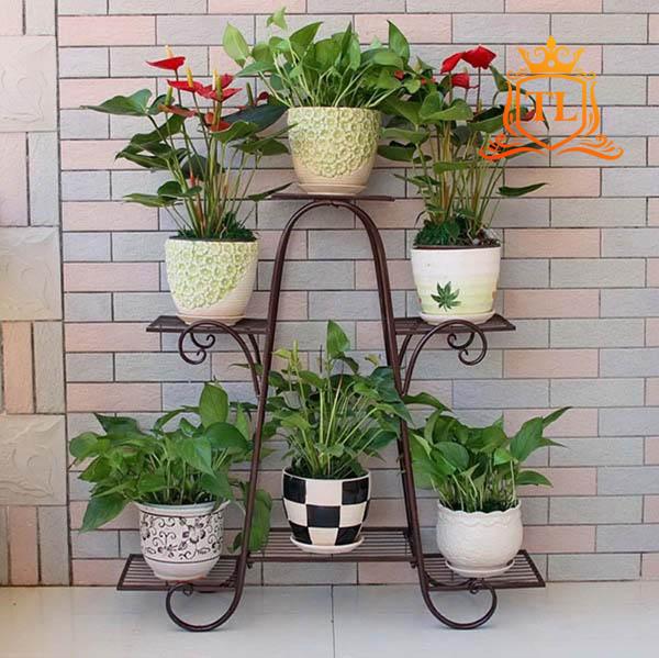 Ke-sat-de-chau-hoa-4-tang-6-chau-2